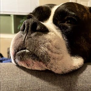 Meet your Posher, Heather